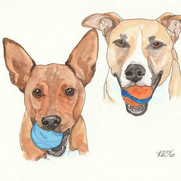 Make me an offer - Picture 7 of 7